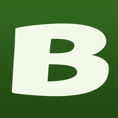 BGT Краснодар, лого-визитка