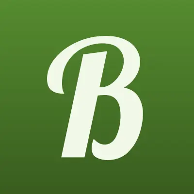 Биллпроф, лого-визитка