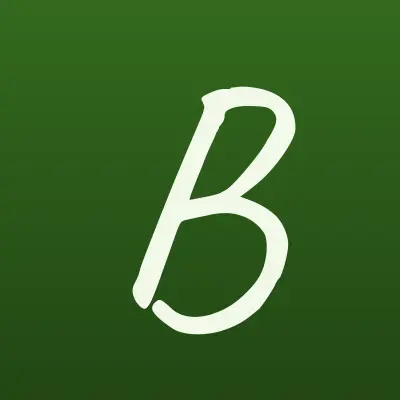 Boostshayba, автоцентр, лого-визитка