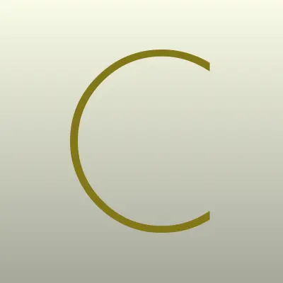 CLEVER TRAINING, лого-визитка