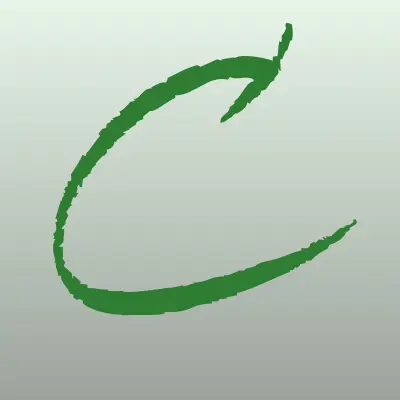 Cleansvet, клининговая компания, лого-визитка