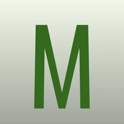 Магазин игрушек, ИП Мирзин С.И., лого-визитка