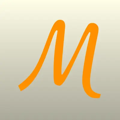 МеталлСтройКапитал, компания, лого-визитка