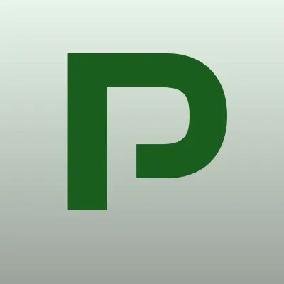 P & Partners, компания, лого-визитка
