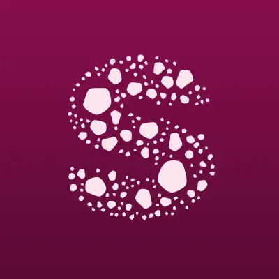 Skyweb Pro, лого-визитка