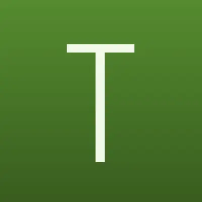 Tor Motors, техцентр, лого-визитка