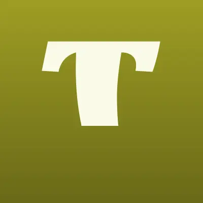 Triplex doors, магазин, лого-визитка