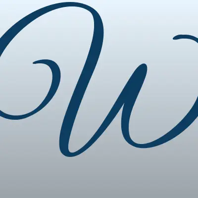 WSS stock & second, оптовый секонд-хенд, лого-визитка