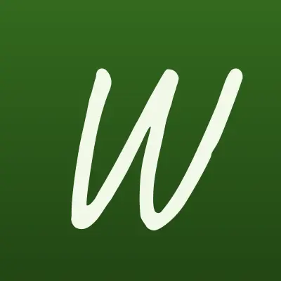 Wi-Fly, студия современной хореографии, лого-визитка