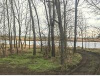 фото Честное агентство недвижимости Гауди риелт отзыв